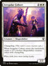 696-irregularcohort.jpg