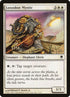7-loxodonmystic.jpg