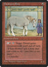 70-dwarvenpony.jpg