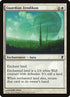 71-guardianzendikon.jpg
