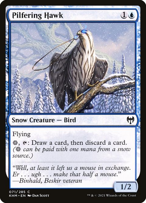 71-pilferinghawk.jpg