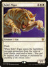 72-sehtstiger.jpg