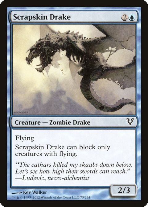 73-scrapskindrake.jpg