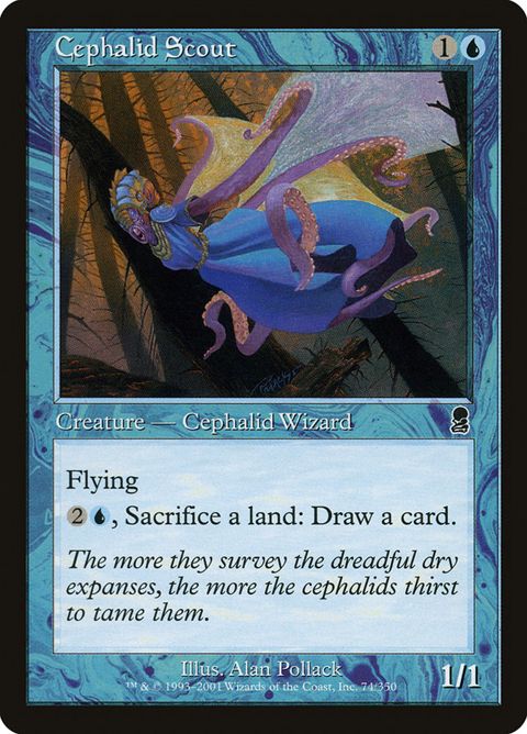 74-cephalidscout.jpg