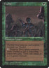 74b-thallid.jpg