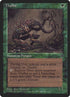 74c-thallid.jpg