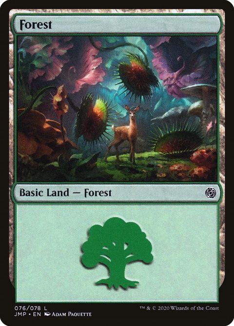 76-forest.jpg