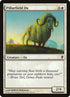 76-pillarfieldox.jpg