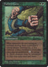 77-thelonscurse.jpg