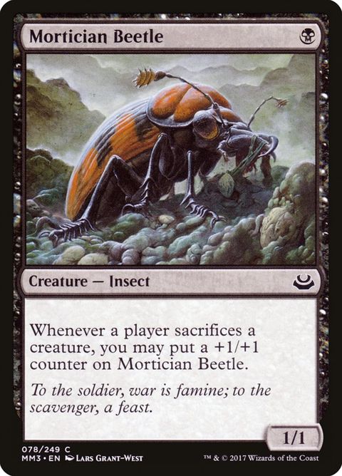 78-morticianbeetle.jpg