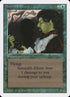 79-serendibefreet.jpg