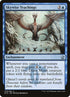 79-skywiseteachings.jpg