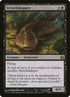 79-stenchskipper.jpg