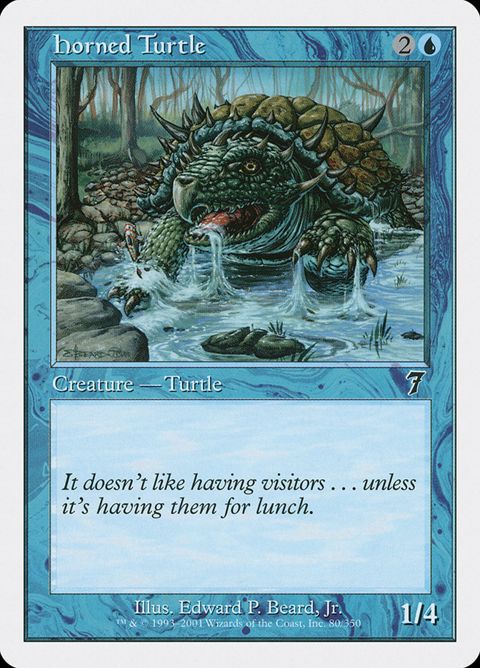 80-hornedturtle.jpg