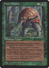 80b-thornthallid.jpg