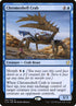 81-chromeshellcrab.jpg