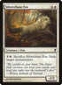 81-silverchasefox.jpg