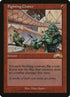 82-fightingchance.jpg
