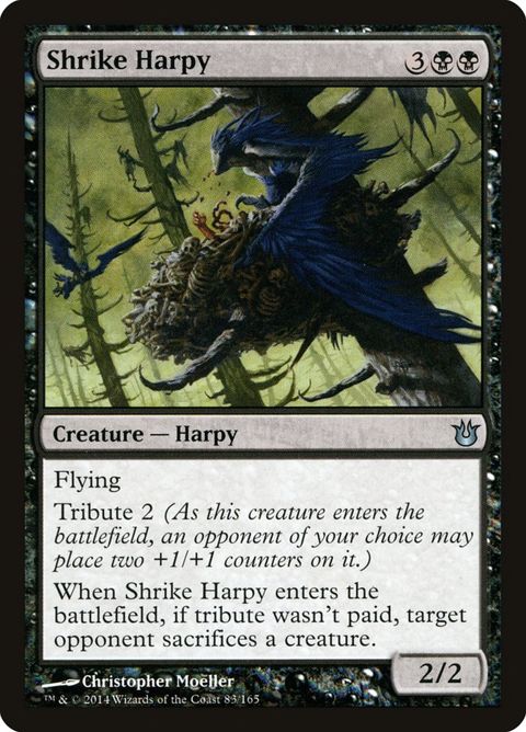 83-shrikeharpy.jpg