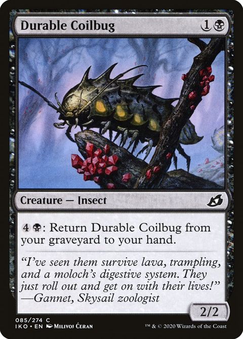 85-durablecoilbug.jpg