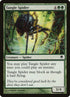 85-tanglespider.jpg