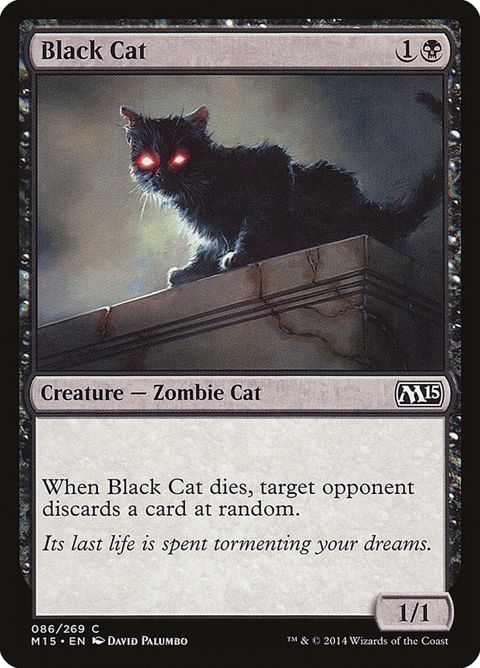 86-blackcat.jpg