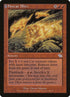 88-firecatblitz.jpg