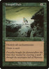 89-tranquilpath.jpg