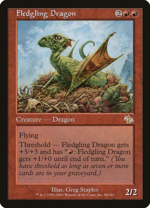 90-fledglingdragon.jpg