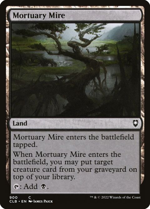 900-mortuarymire.jpg