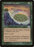 92-skyshroudblessing.jpg