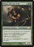 92-thrunthelasttroll.jpg