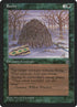 95-roots.jpg