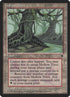 97-hollowtrees.jpg