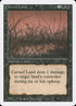 98-cursedland.jpg